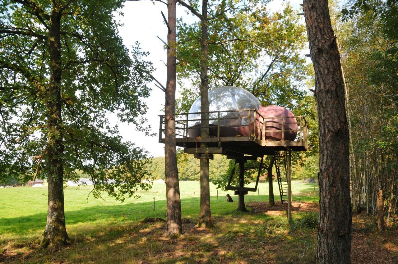Sphair Perchee Luxury tent *