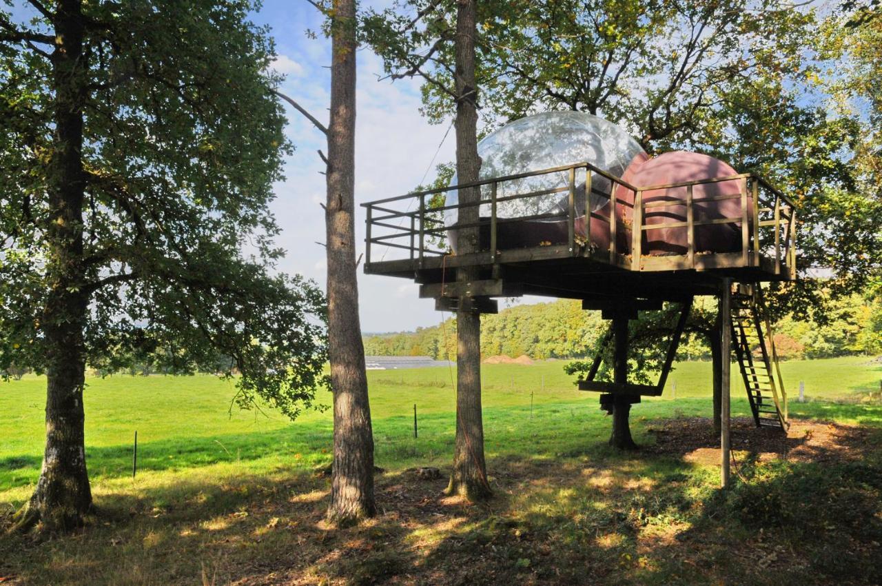 Luxury tent Sphair Perchee *